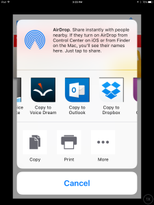 Screenshot of iOS share
