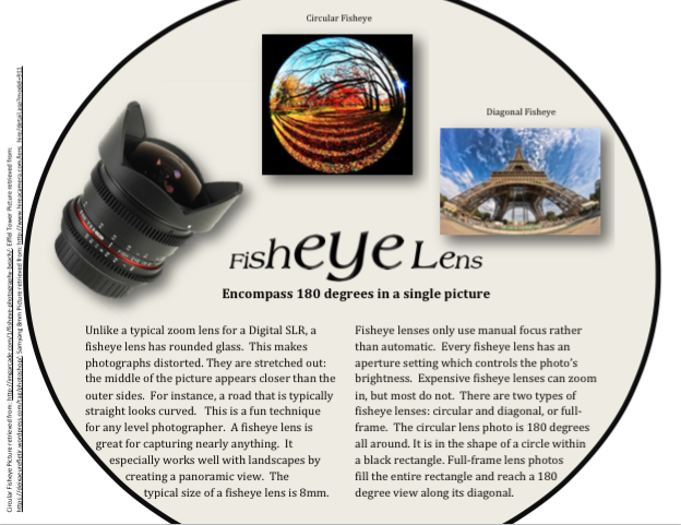 Brianna Melanson's "Fisheye Lens"