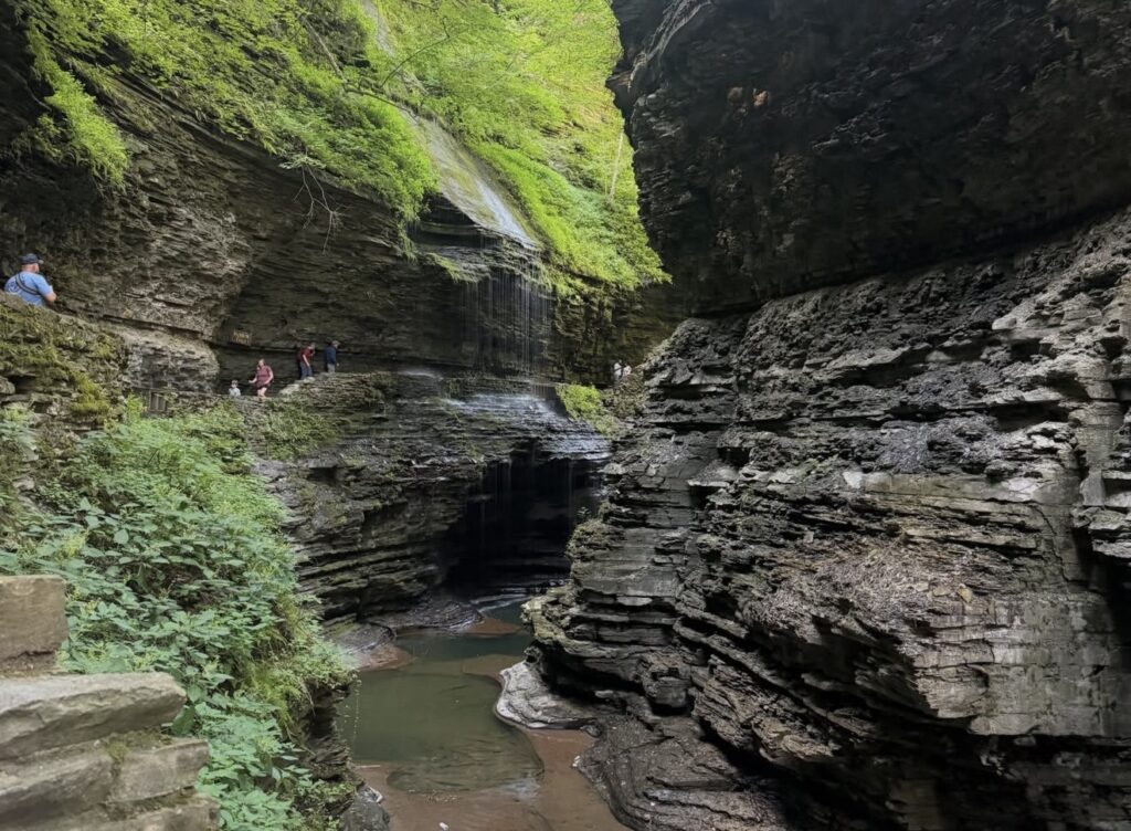 A picture of the trails