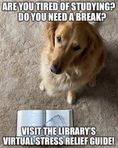 Photo of dog studying with text: Are you tired of studying? Do you need a break? Visit the Library's Virtual Stress Relief Guide!