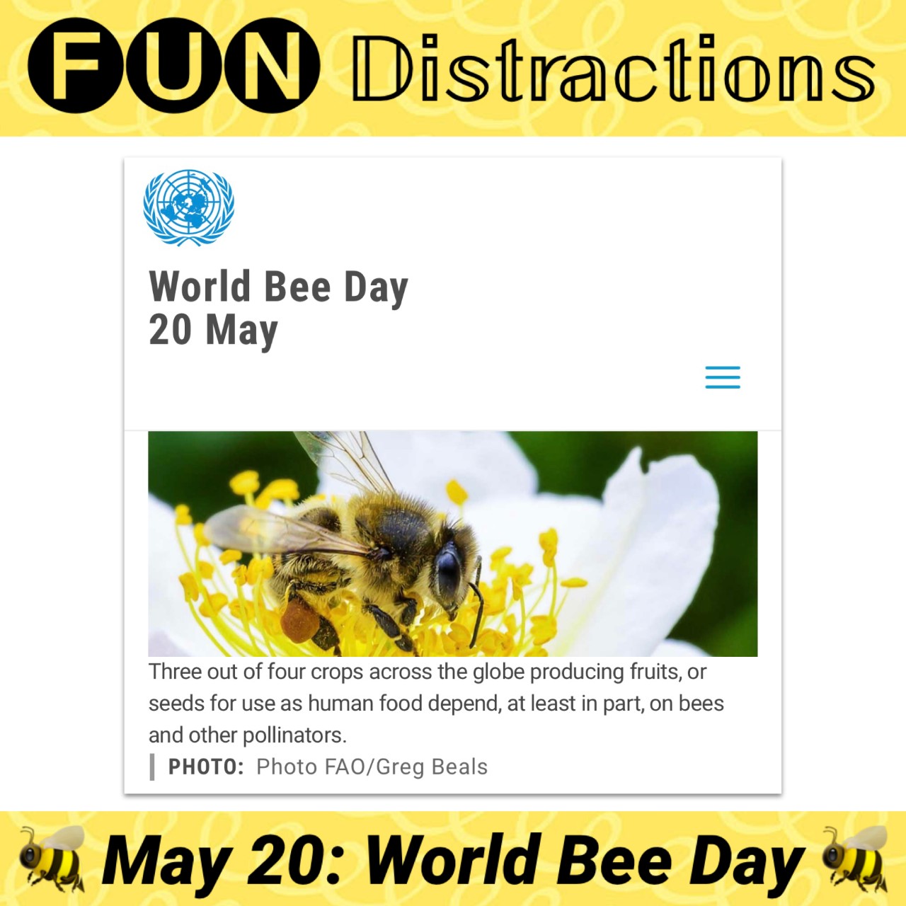 Image of a bee representing World Bee Day May 20th
