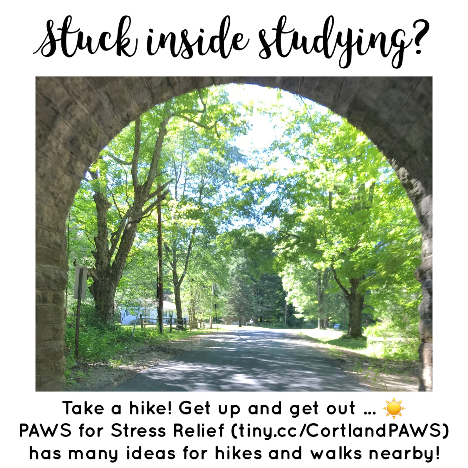 Image of a very green park as seen through a tunnel with text reading "Stuck inside studying? Take a hike! Get up and get out... PAWS for Stress Relief has many ideas for hikes and walks nearby!"