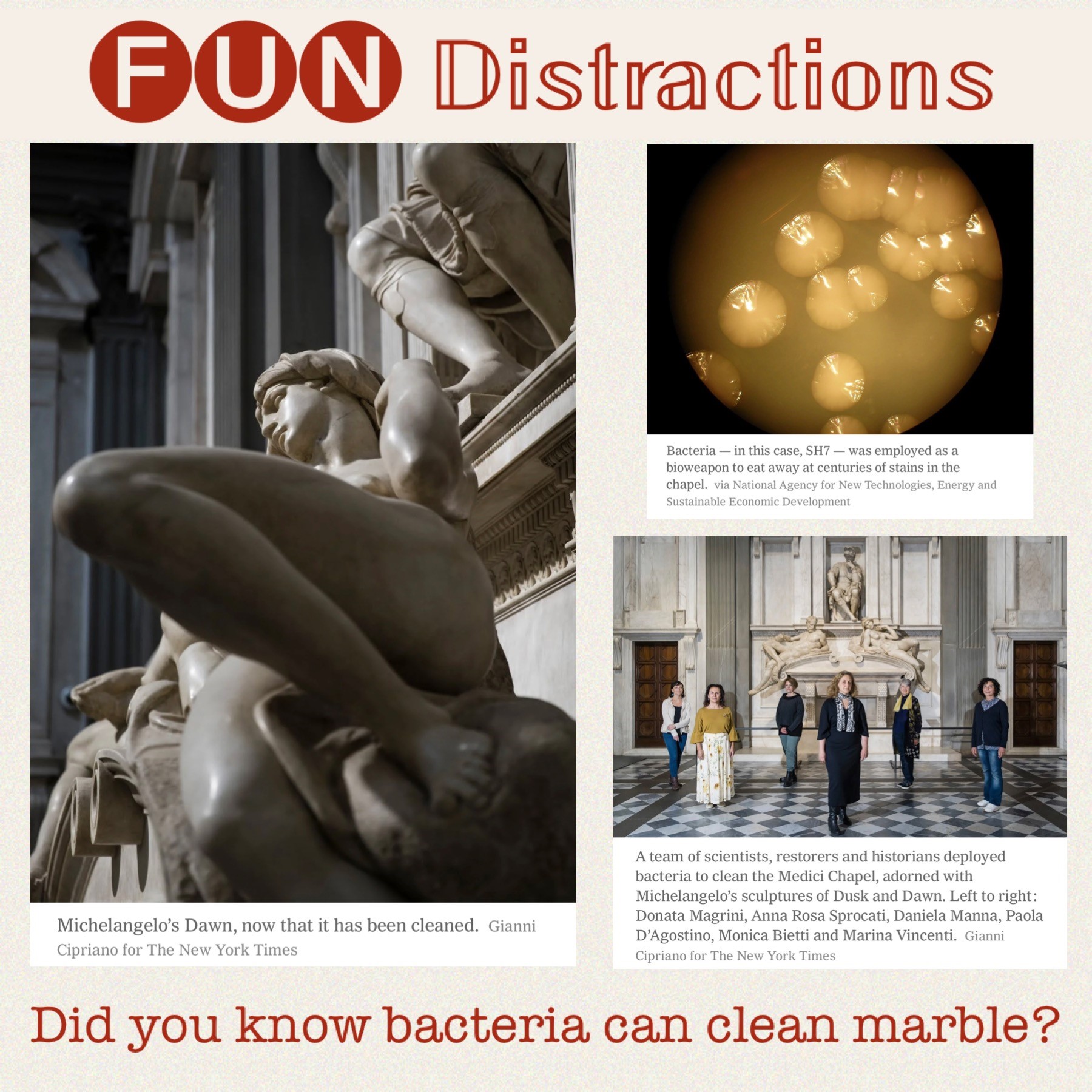Image of Michelangelo's scupture, Dawn; microscopic image of bacteria; and an image of six scientists