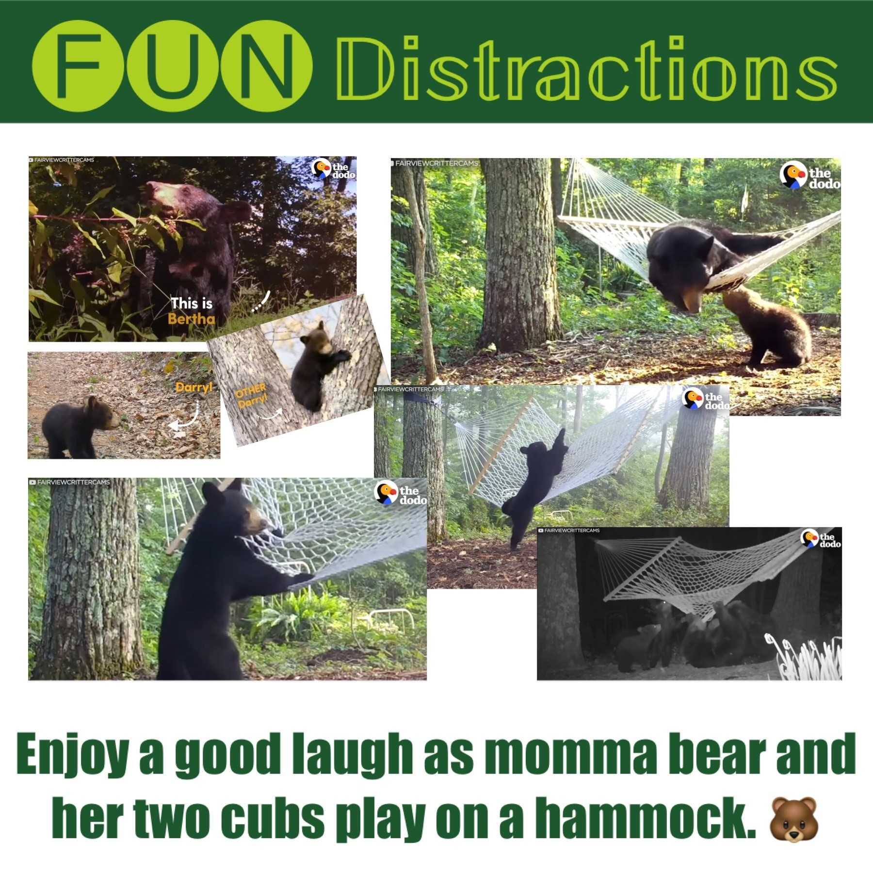 Image advertising the Library’s FUN Distractions series post about a bear family enjoying a hammock