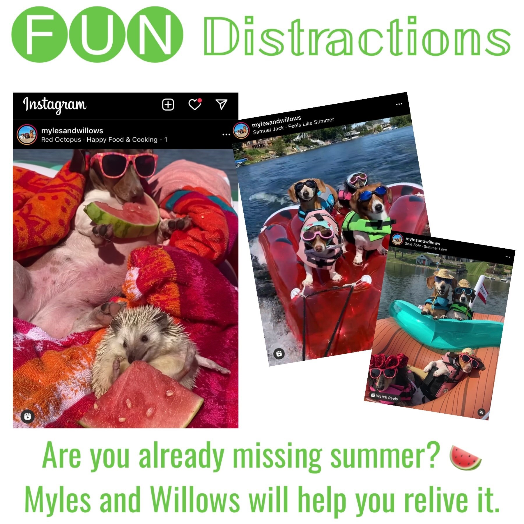 Image advertising the Library’s FUN Distractions series post on @mylesnandwillows