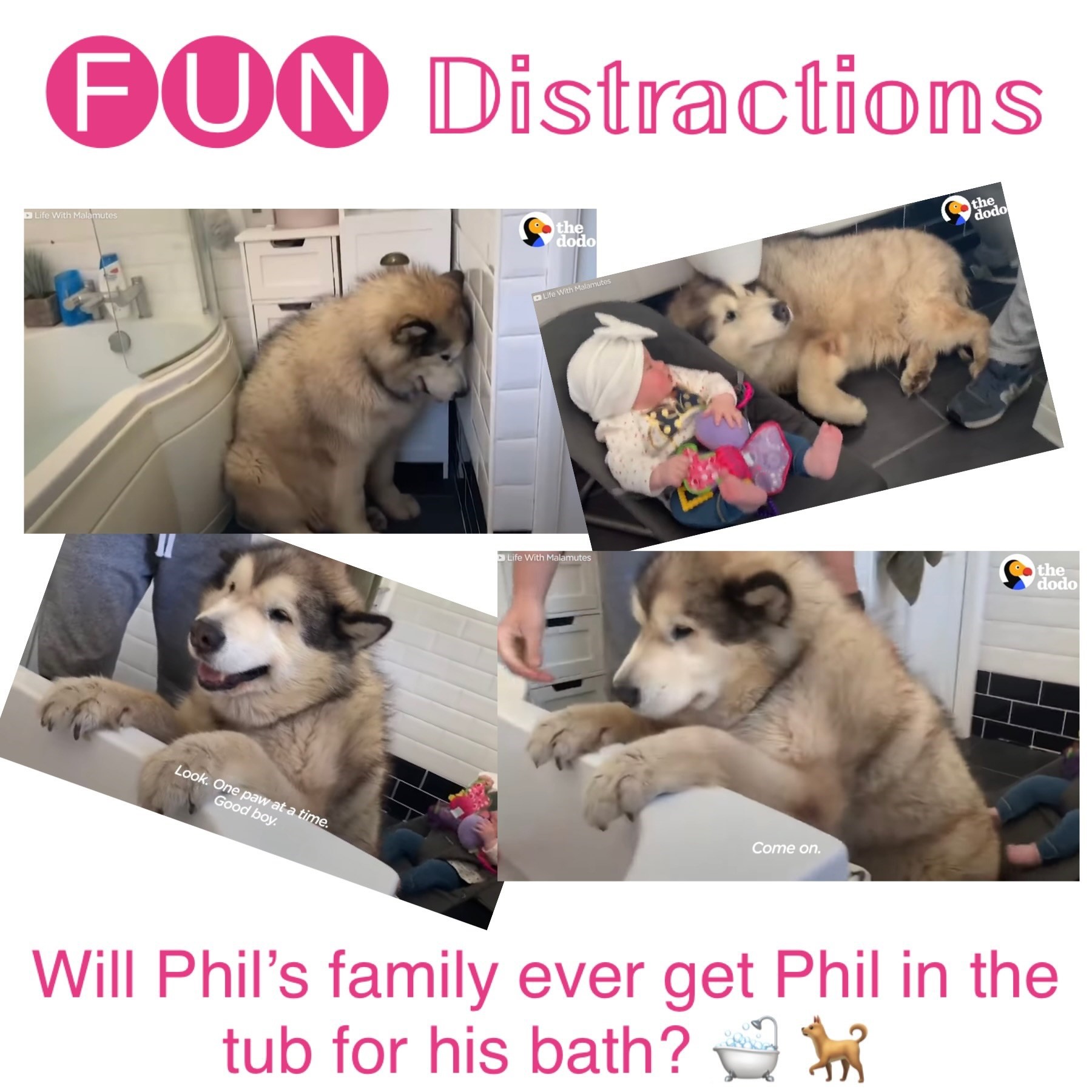 Image advertising the Library’s FUN Distractions series post about Phil taking a bath