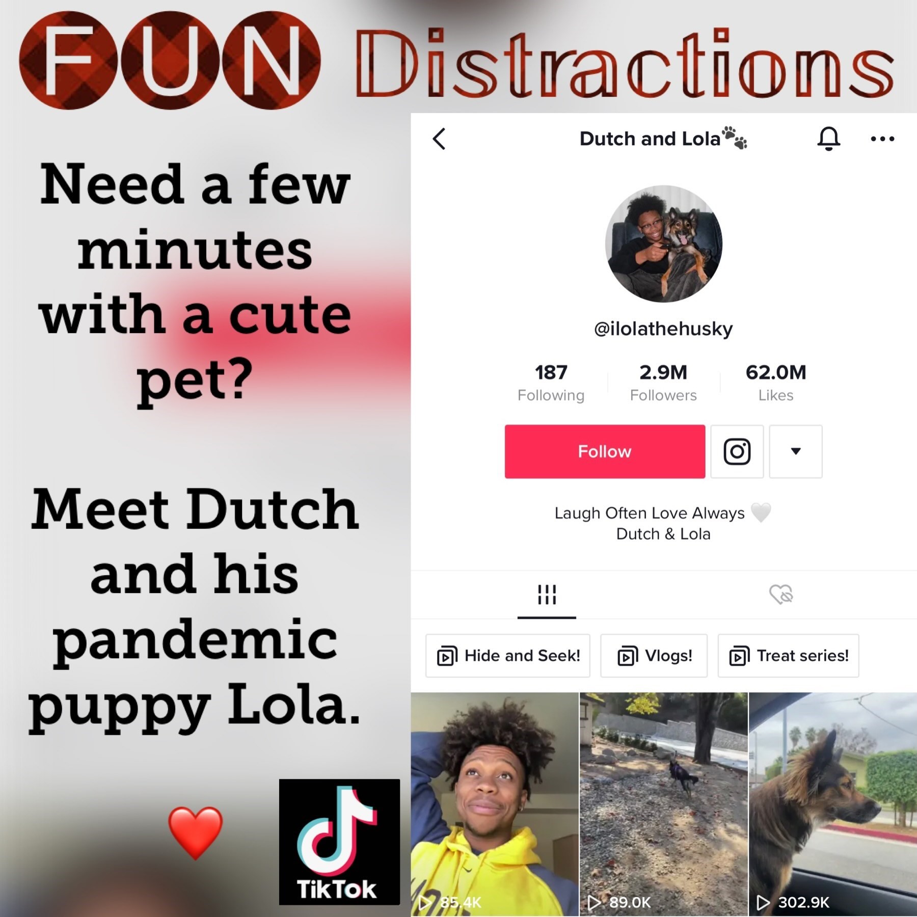 Image advertising the Library’s FUN Distractions series post about Dutch and Lola