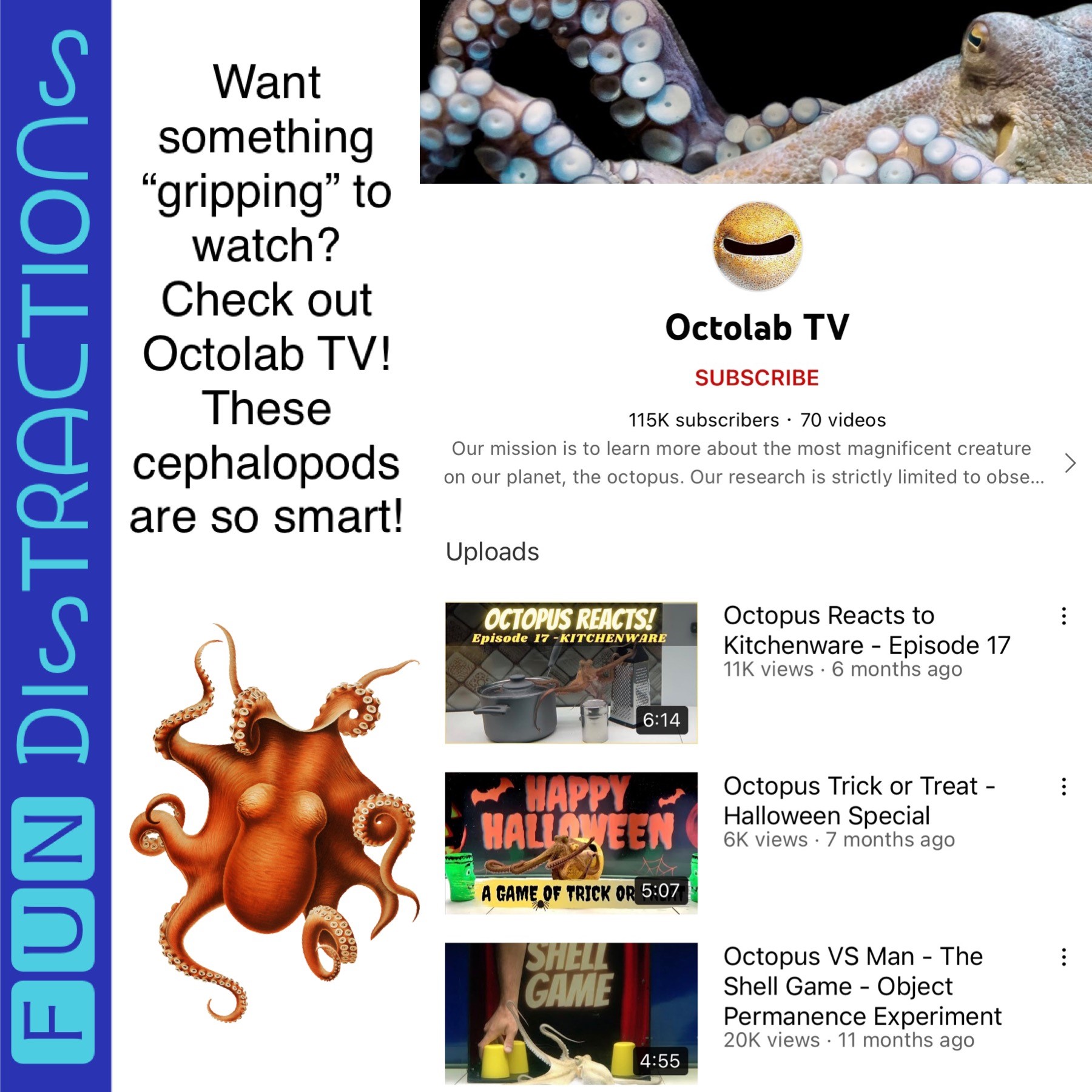 Octolab TV on YouTube
