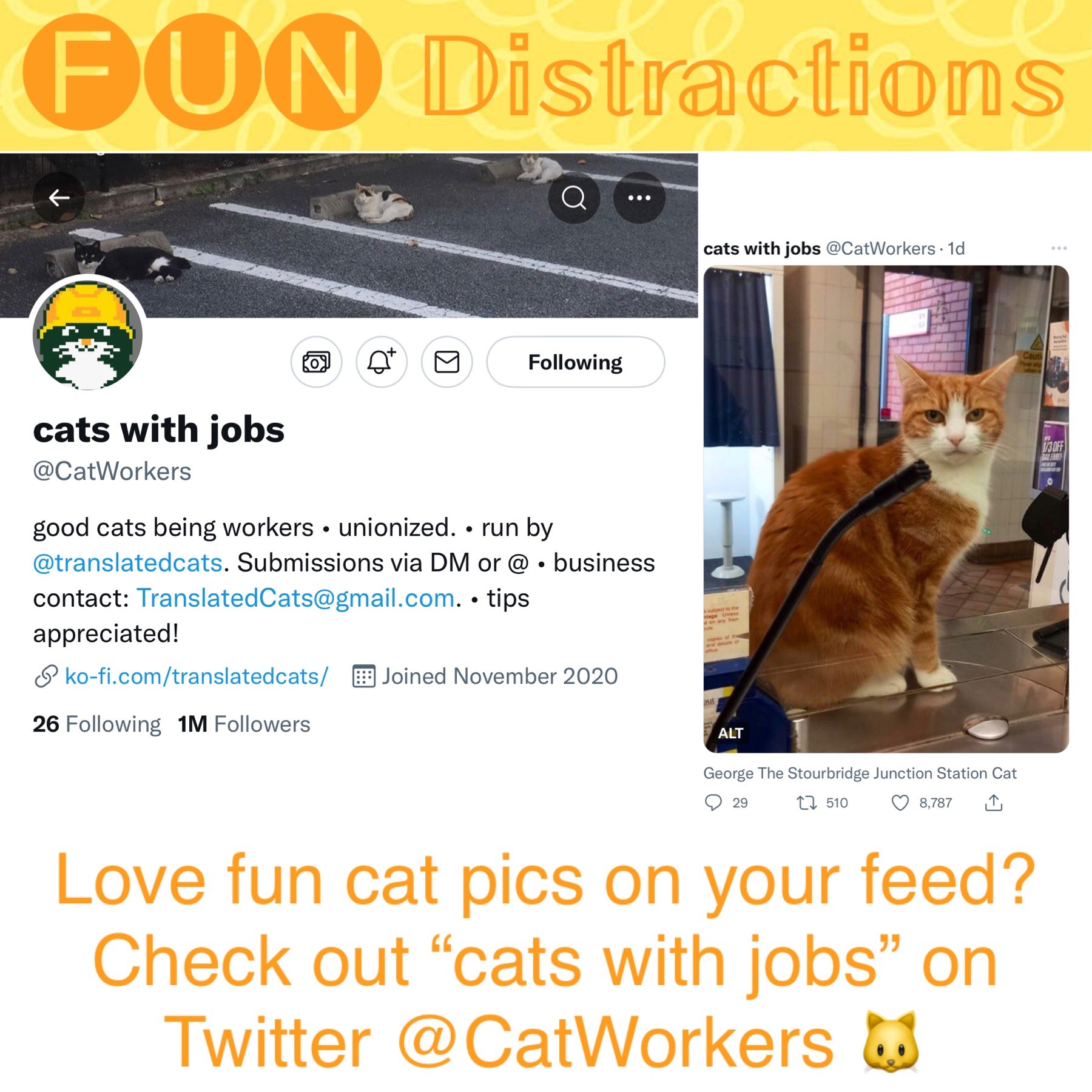 Cats with Jobs