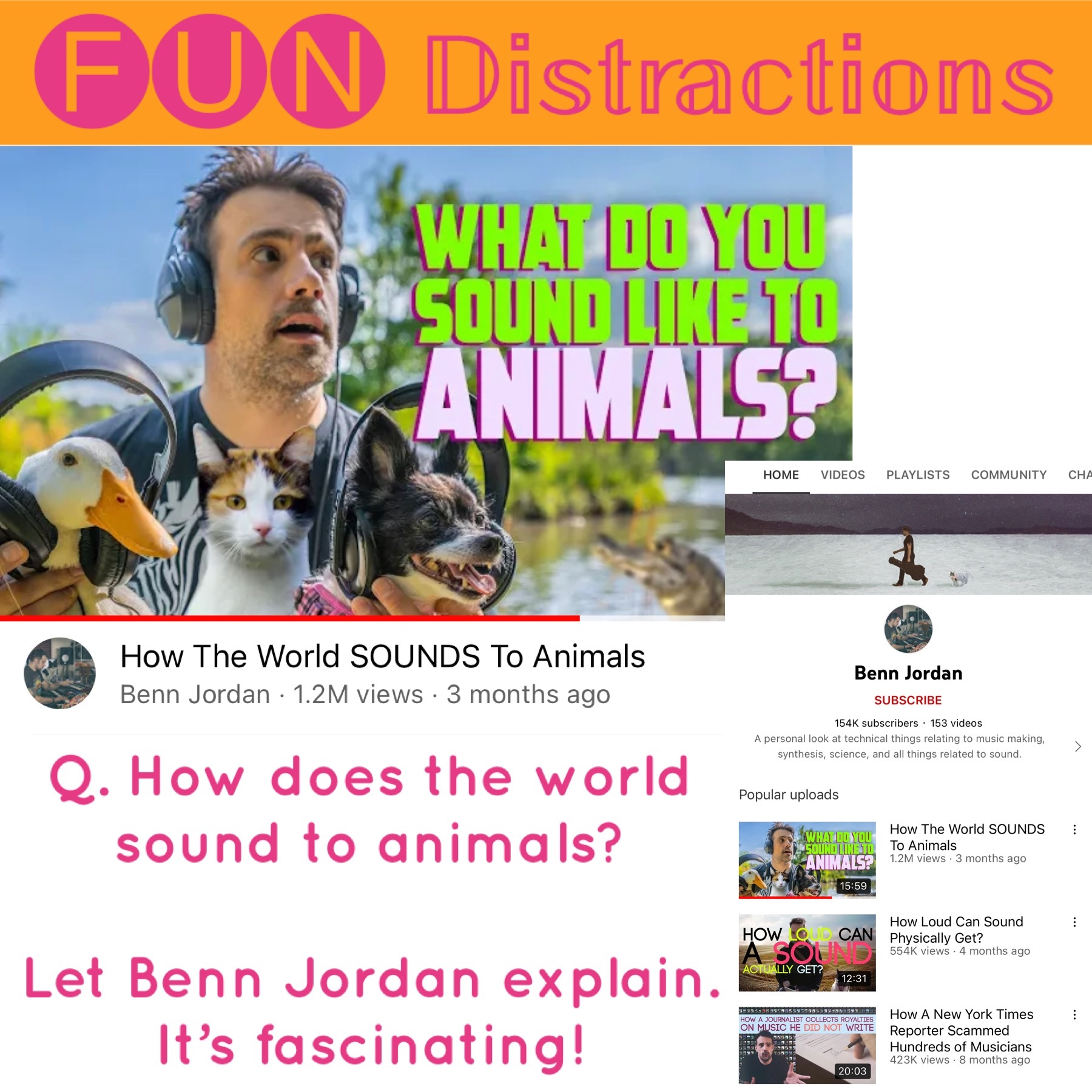 How does the world sound to animals?