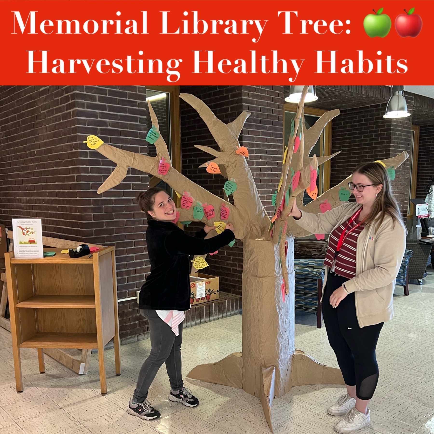 Image of two students pasting paper leaves on paper tree in library lobby.