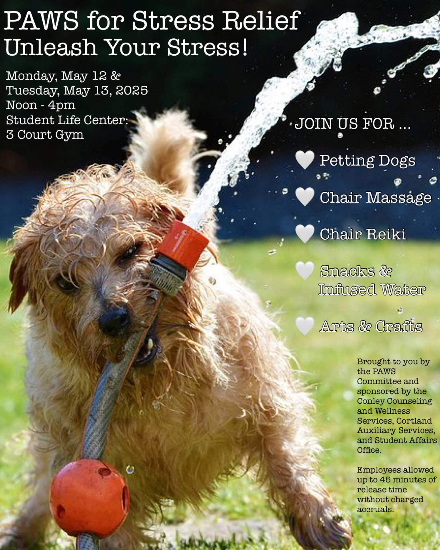 PAWS for Stress Relief Event
Monday, May 12 & Tuesday, May 13, 2025
Noon - 4pm
Student Life Center 3 Court Gym
