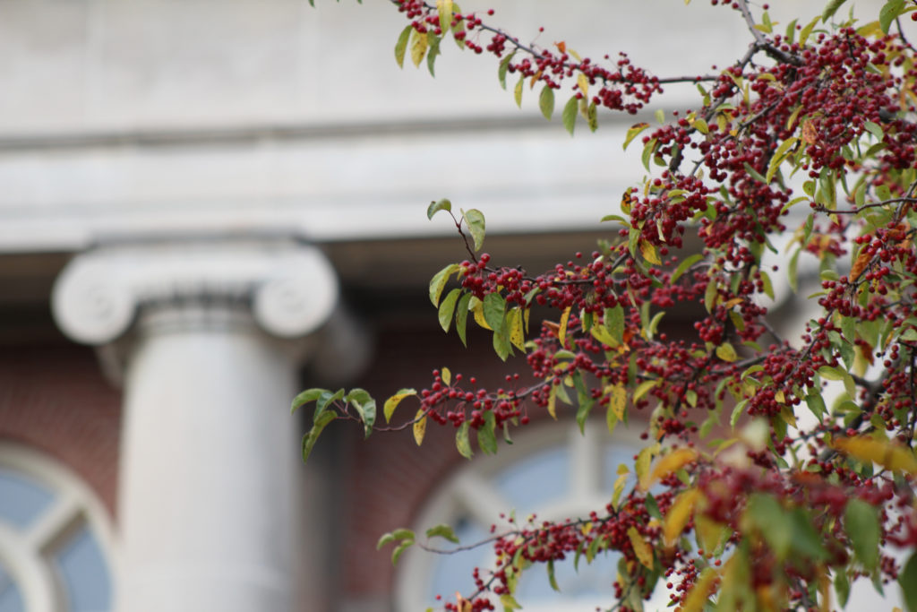 Old Main Column